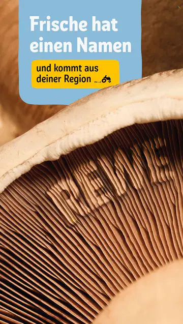 REWE Angebote - Seite 2