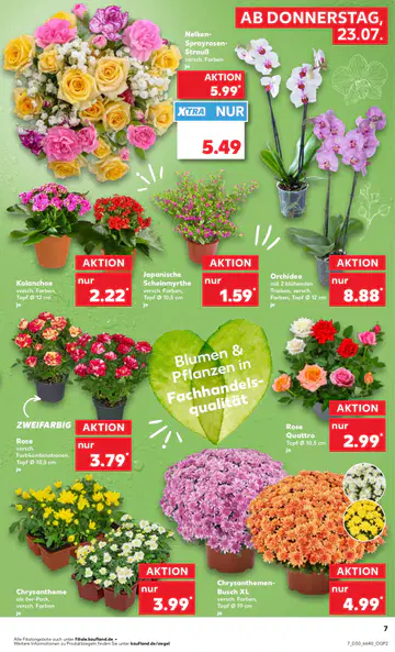 Kaufland Prospekt - Seite 6