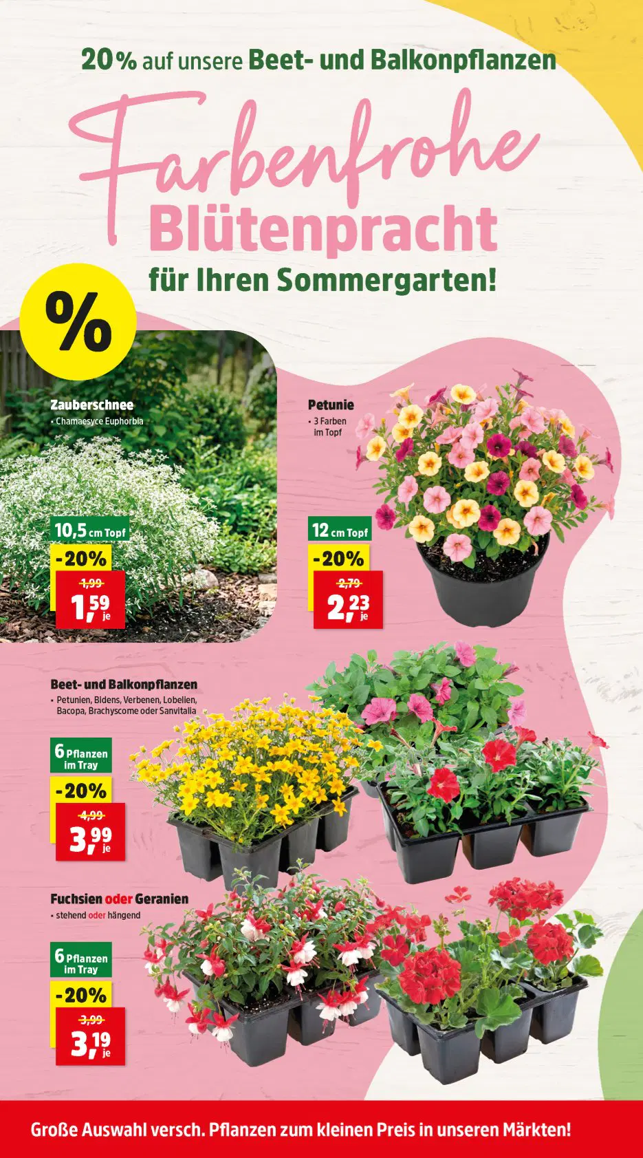 Thomas Philipps Prospekt ab 08.06.2026 - Seite 6