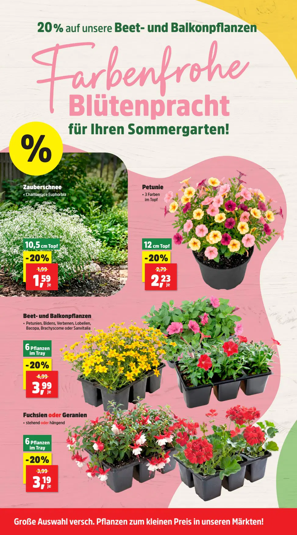 Thomas Philipps Prospekt ab 08.06.2026 - Seite 6