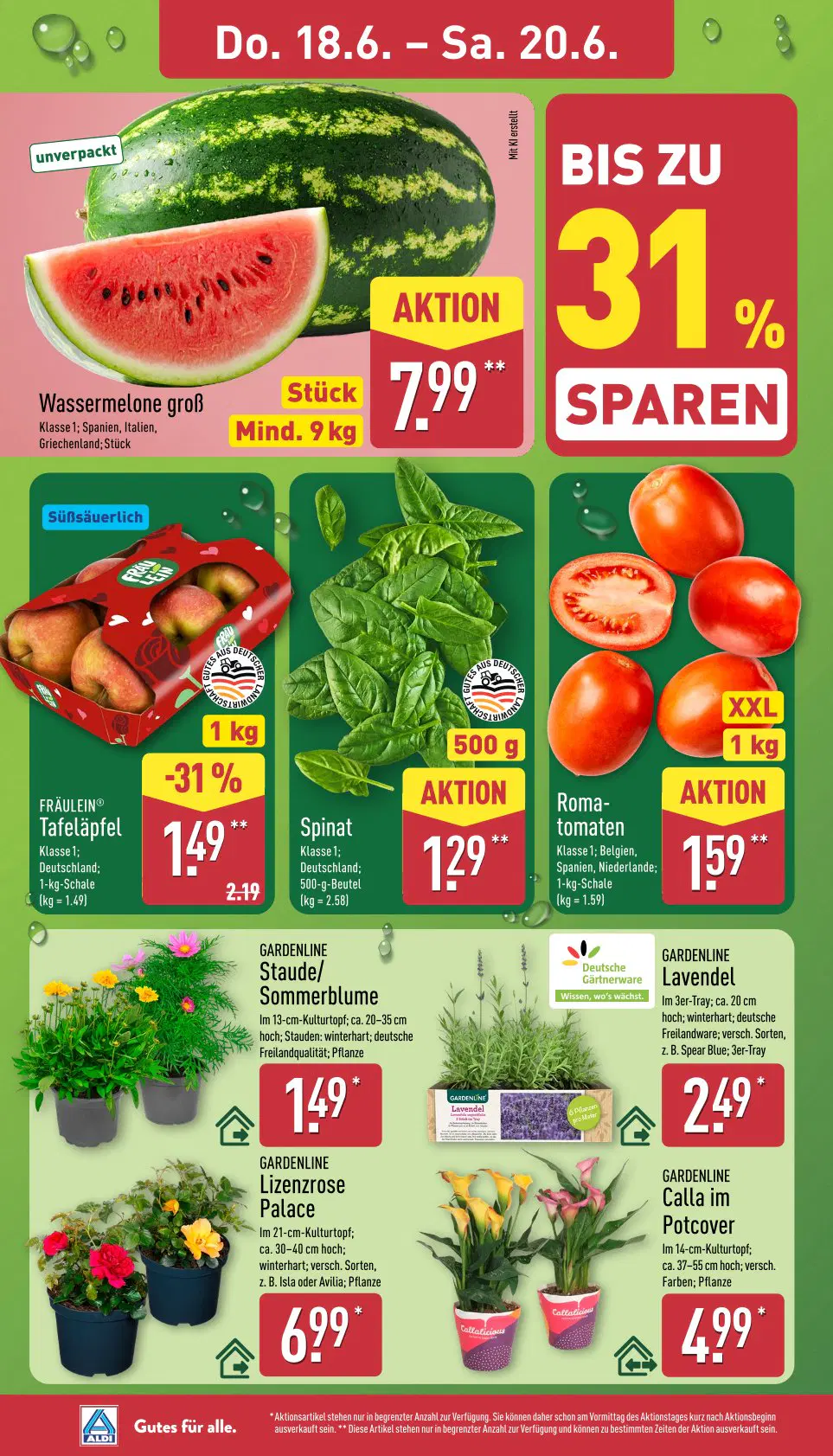 Aldi Nord Prospekt ab 15.06.2026 - Seite 30