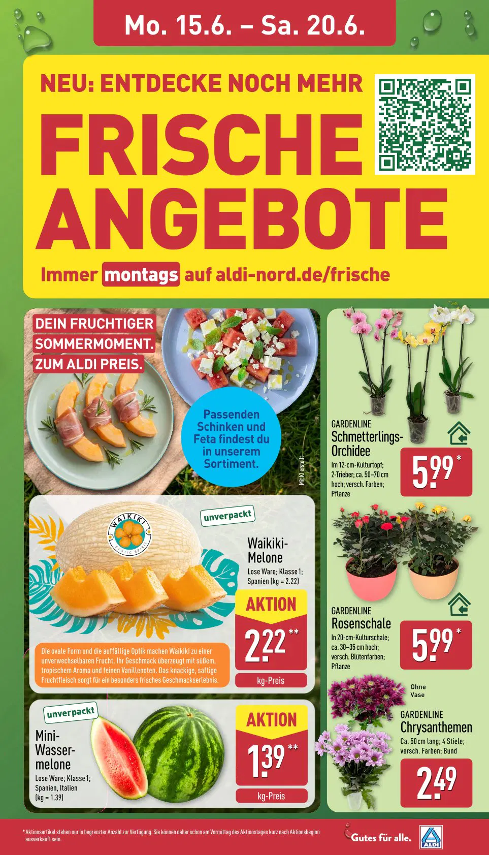 Aldi Nord Prospekt ab 15.06.2026 - Seite 7