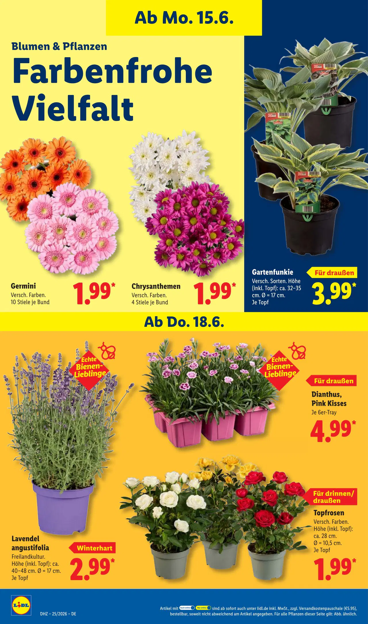 Lidl Prospekt ab 15.06.2026 - Seite 70