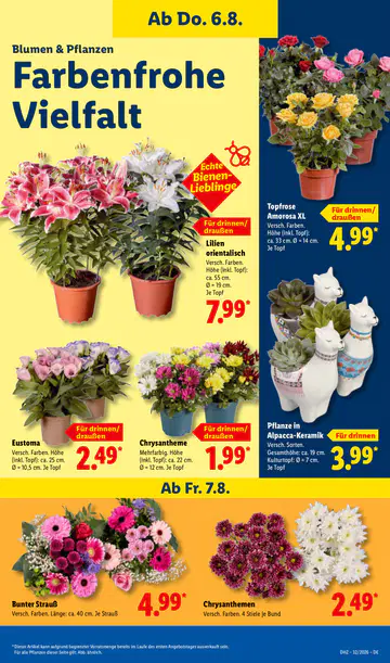 Lidl Prospekt ab 03.08.2026 - Seite 6