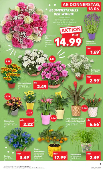 Kaufland Prospekt - Seite 4