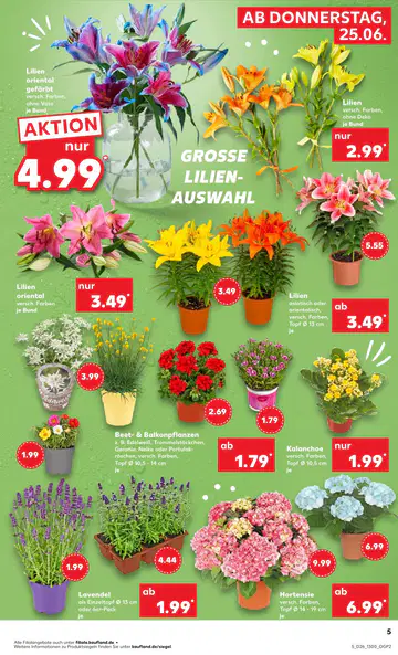 Kaufland Prospekt ab 25.06.2026 - Seite 4