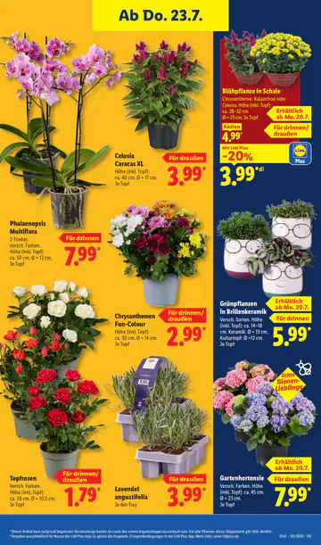 Lidl Prospekt ab 20.07.2026 - Seite 4