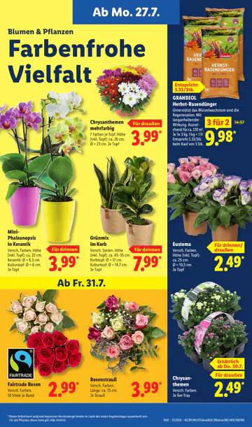 Lidl Prospekt ab 27.07.2026 - Seite 6