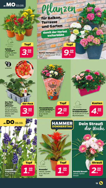 Netto Prospekt ab 03.08.2026 - Seite 2