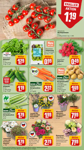 Rewe Prospekt ab 15.06.2026 - Seite 2
