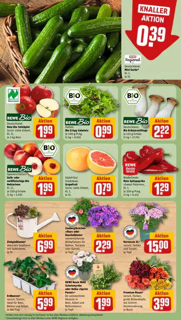 Rewe Prospekt ab 22.06.2026 - Seite 4
