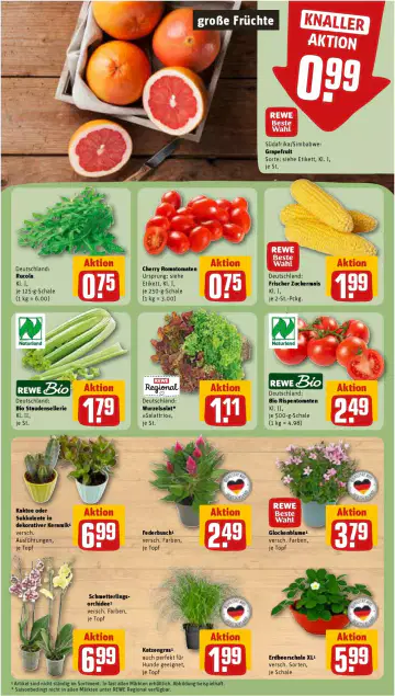 Rewe Prospekt ab 27.07.2026 - Seite 2