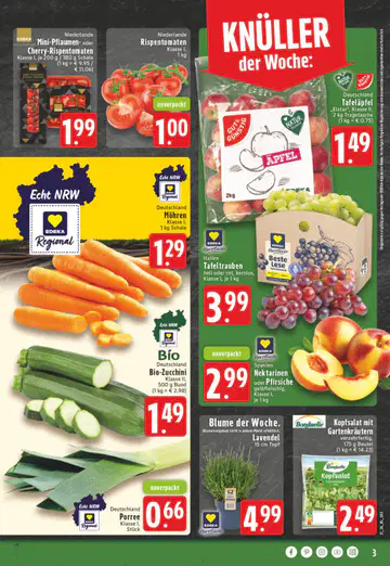 Schenke Prospekt ab 27.07.2026 - Seite 2