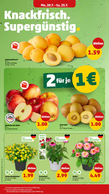 Penny Prospekt ab 20.07.2026 - Seite 1