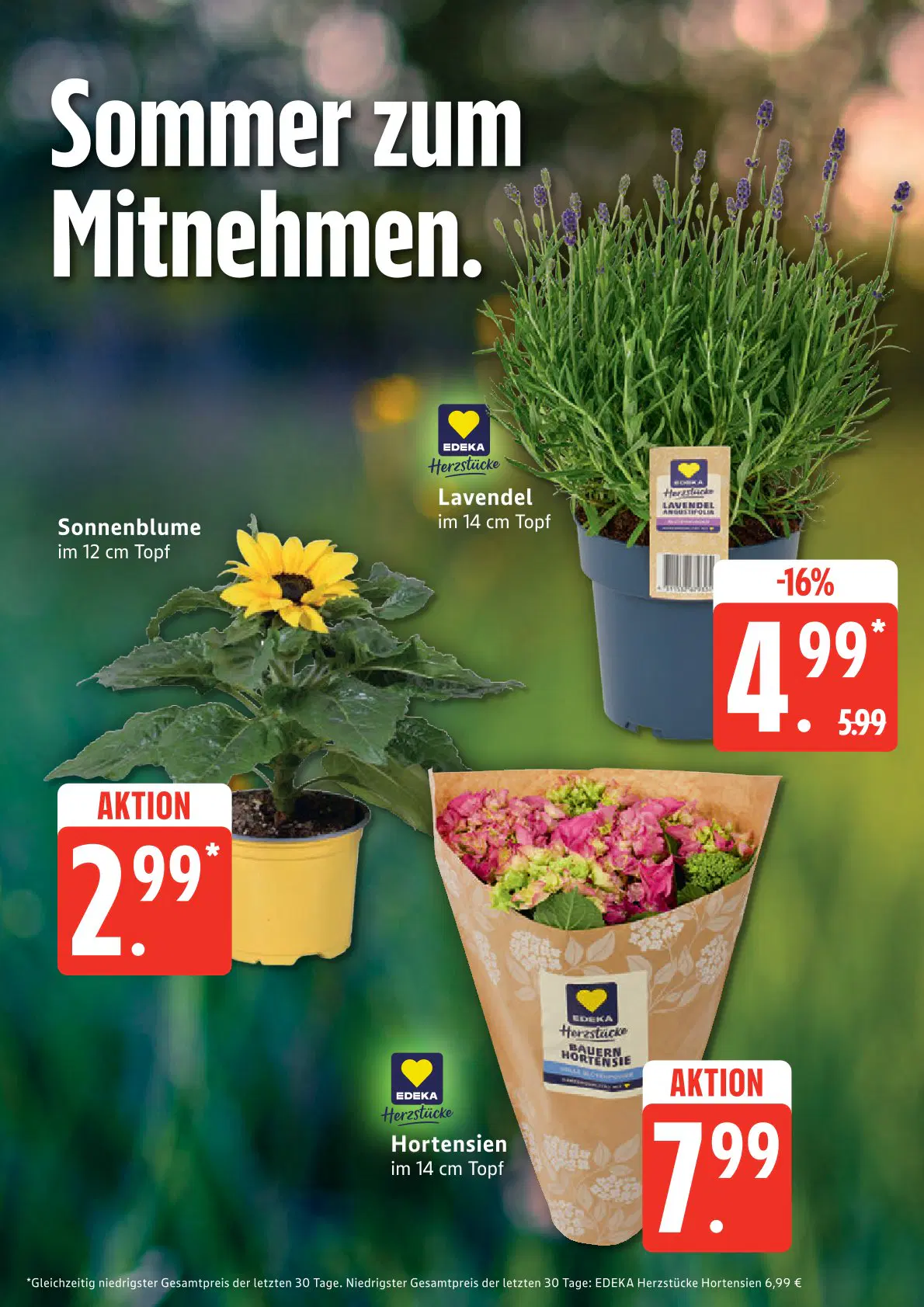 Edeka Nord Prospekt 08.06.2026 - Seite 9