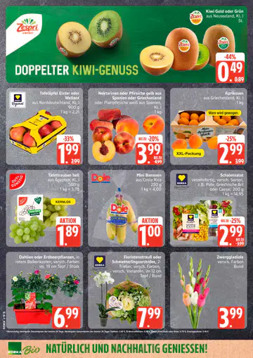 Edeka Nord Prospekt 08.06.2026 - Seite 1