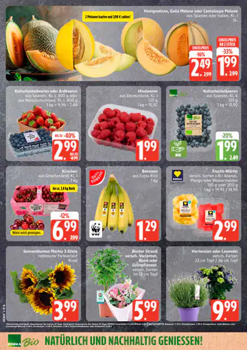 Edeka Nord Prospekt ab 22.06.2026 - Seite 3