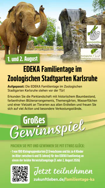 Edeka Südwest Prospekt ab 22.06.2026 - Seite 6