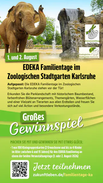 Edeka Südwest Prospekt ab 29.06.2026 - Seite 4