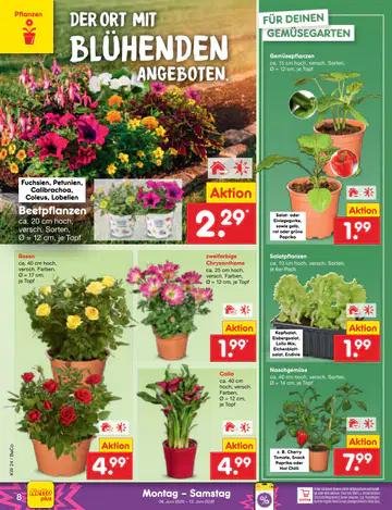 Netto Marken-Discount Prospekt ab 08.06.2026 - Seite 5