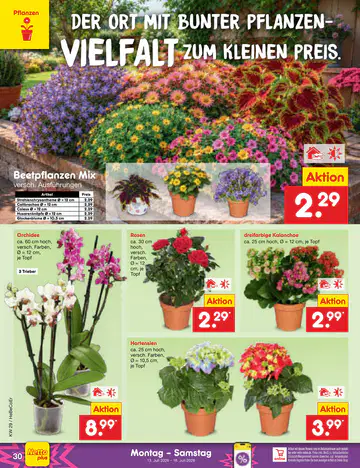 Netto Marken-Discount Prospekt ab 13.07.2026 - Seite 3