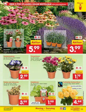 Netto Marken-Discount Prospekt ab 20.07.2026 - Seite 2