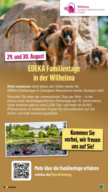 Edeka Südwest Angebote - Seite 4