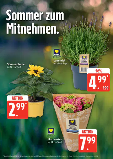 Edeka Nord Angebote - Seite 2