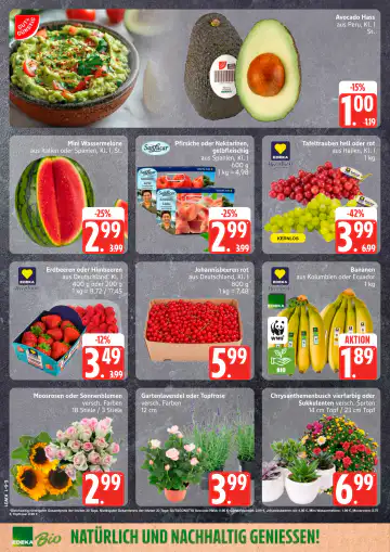 Edeka Nord Prospekt - Seite 1