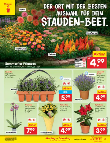 Netto Marken-Discount Prospekt ab 15.06.2026 - Seite 4