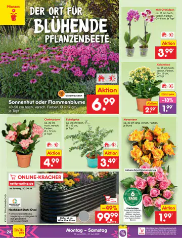 Netto Marken-Discount Prospekt ab 22.06.2026 - Seite 3