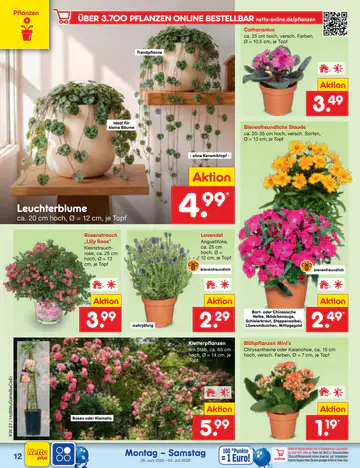Netto Marken-Discount Prospekte - Seite 3