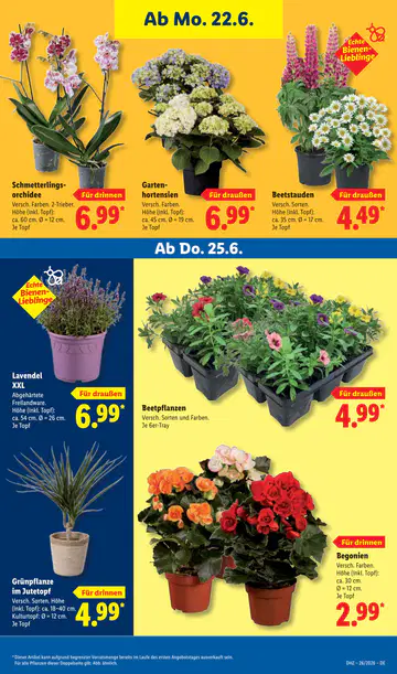 Lidl Prospekt ab 22.06.2026 - Seite 2