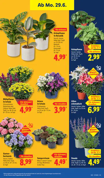 Lidl Prospeke - Seite 4