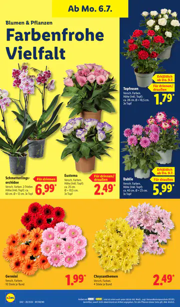 Lidl Prospekte Angebote - Seite 3