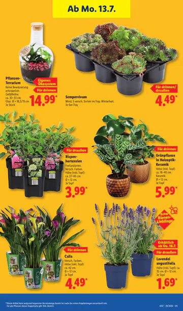 Lidl Prospekte - Seite 2