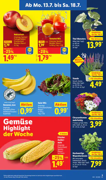 Lidl Prospekte - Seite 2