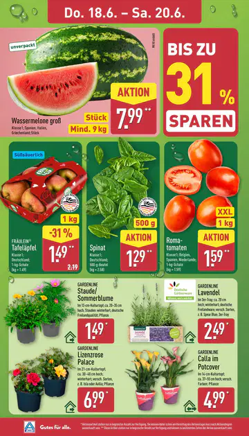 Aldi Nord Prospekt ab 15.06.2026 - Seite 5