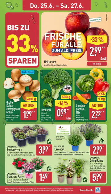 Aldi Nord Prospekt ab 22.06.2026 - Seite 4