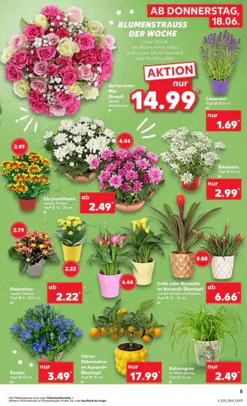 Kaufland Prospekte - Seite 4