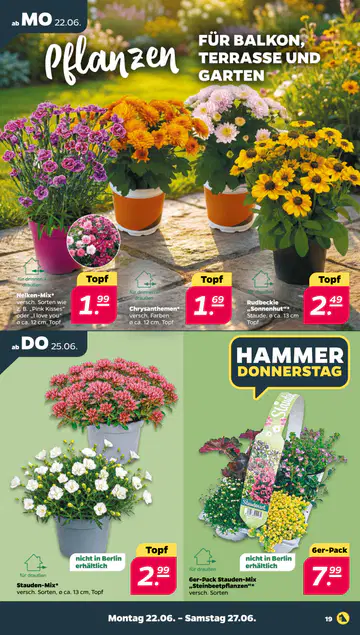 Netto Prospekt ab 22.06.2026 - Seite 2