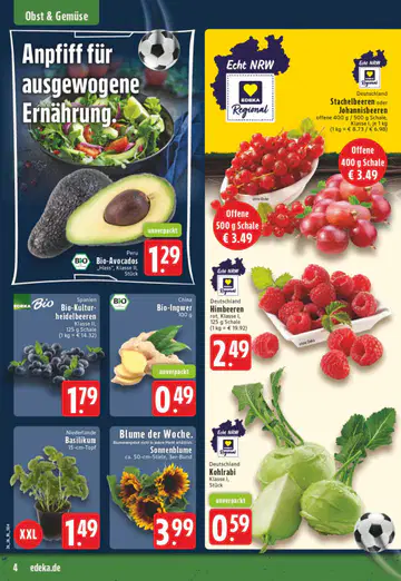 Schenke Prospekte - Seite 1