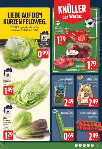 Schenke Prospekte - Seite 2