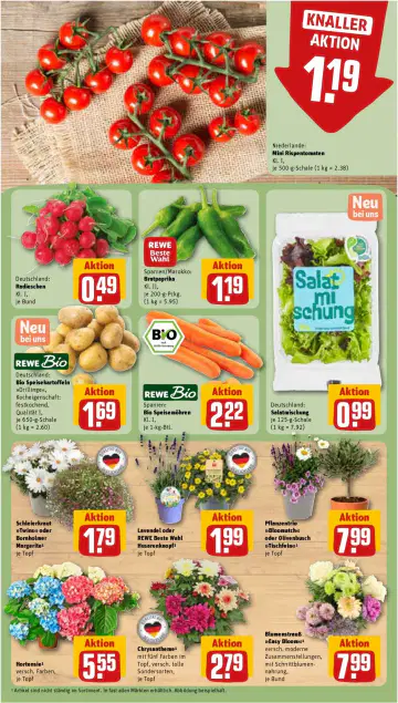 REWE Prospekt ab 15.06.2026 - Seite 2