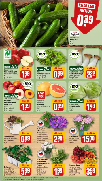 REWE Prospekte - Seite 4