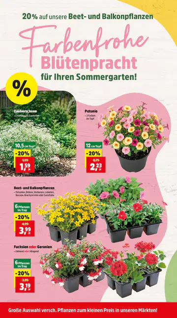 Thomas Philipps Prospekt ab 08.06.2026 - Seite 1