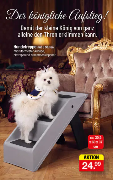 Zimmermann Prospekte Angebote - Seite 2