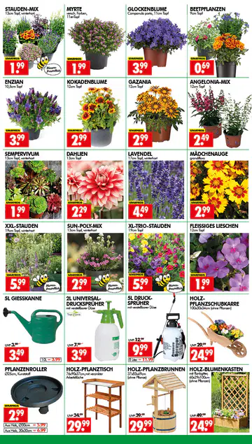 Wreesmann Prospekt ab 15.06.2026 - Seite 2