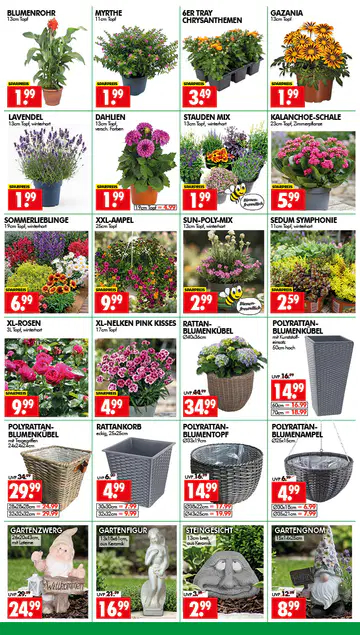 Wreesmann Prospekt ab 22.06.2026 - Seite 2