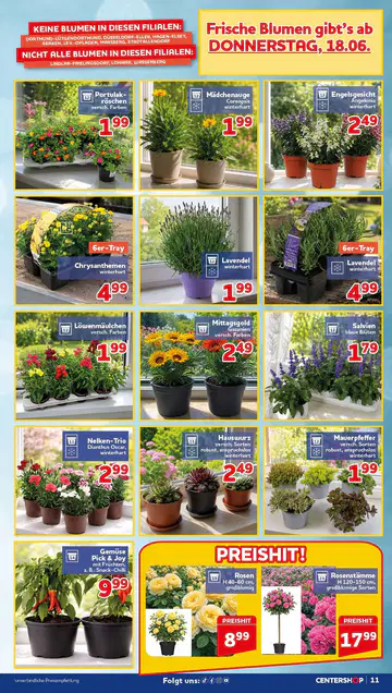 CENTERSHOP Prospekt ab 15.06.2026 - Seite 2